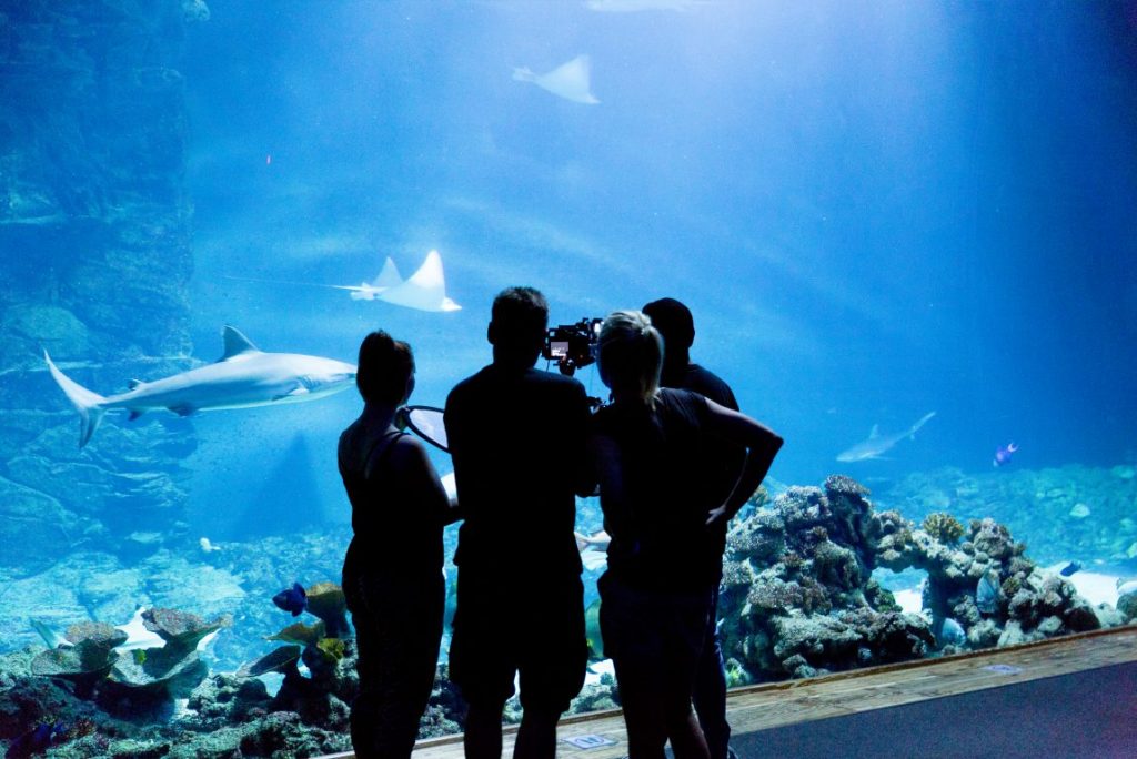 Kamerateam vor Hai in Aquarium