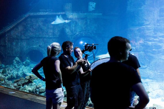 Kamerateam vor Aquarium mit Haien